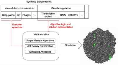 A Framework for Implementing Metaheuristic Algorithms Using Intercellular Communication